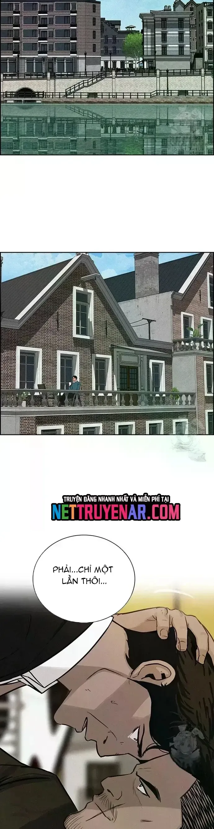 Chúa Tể Đồng Tiền Chapter 238 - 17