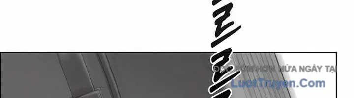 Người Đàn Ông Thực Thụ Chapter 223 - 313