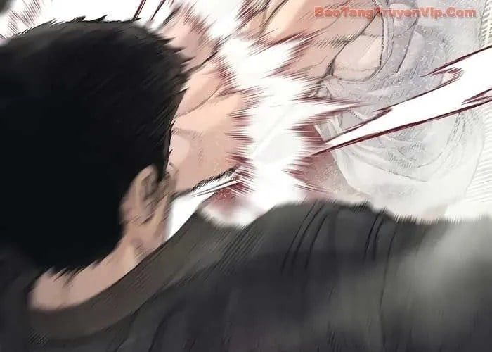 Bố Tôi Là Đặc Vụ Chapter 214 - 154