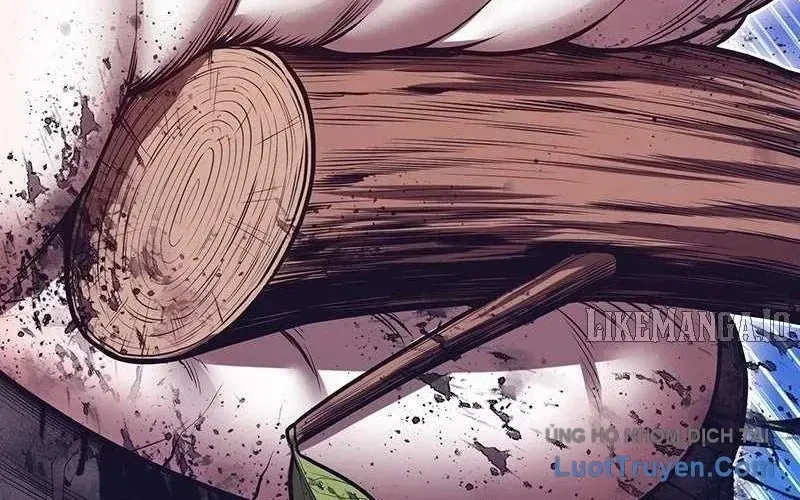 Gậy Gỗ Cấp 99+ Chapter 165.5 - 13