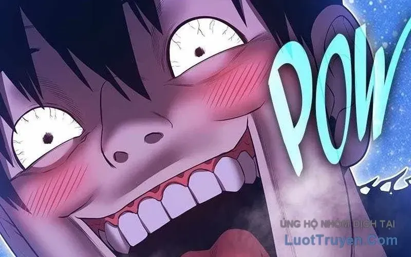 Gậy Gỗ Cấp 99+ Chapter 165.5 - 168