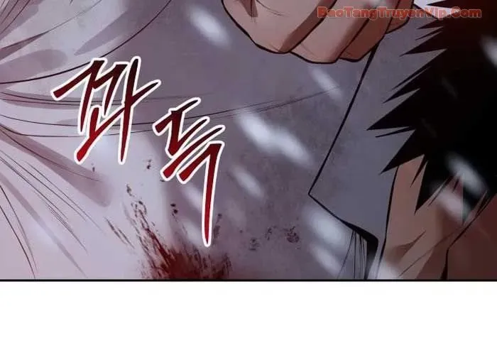 Đặc Vụ Song Sinh Chapter 149 - 254