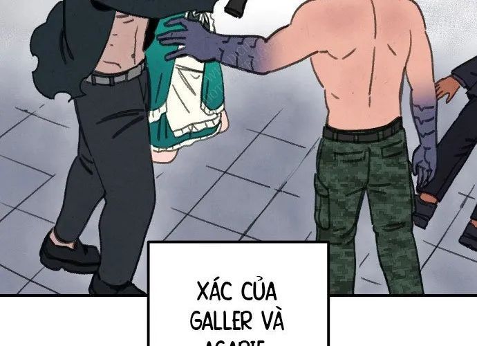 Sắp Xuất Ngũ Thì Isekai Chapter 169 - 183