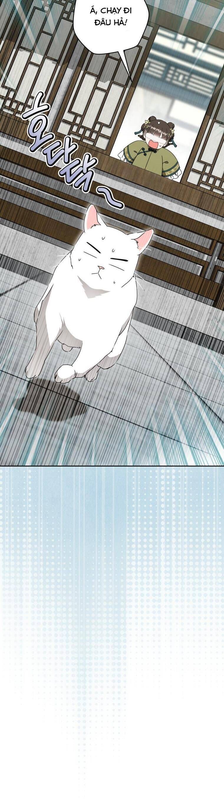 Trở Thành Cô Cháu Gái Bị Khinh Miệt Của Gia Tộc Võ Lâm. Chapter 96 - 24