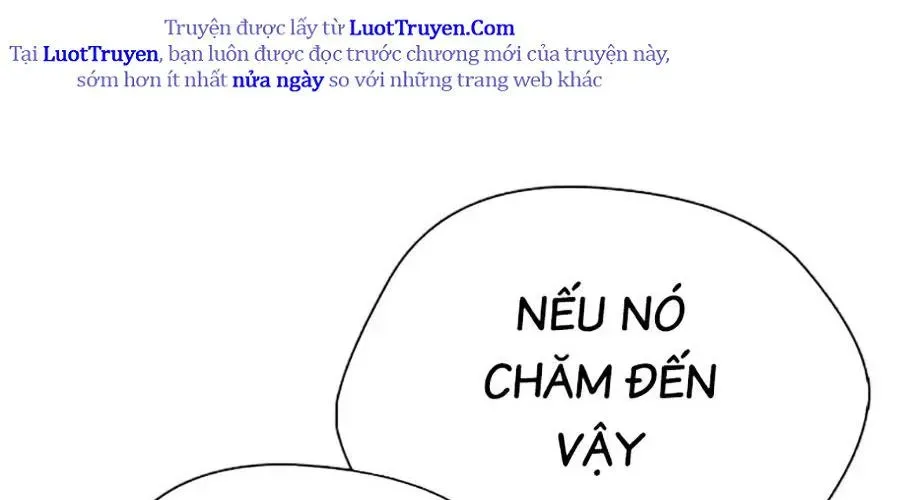 Loser Giỏi Võ Chapter 143 - 230