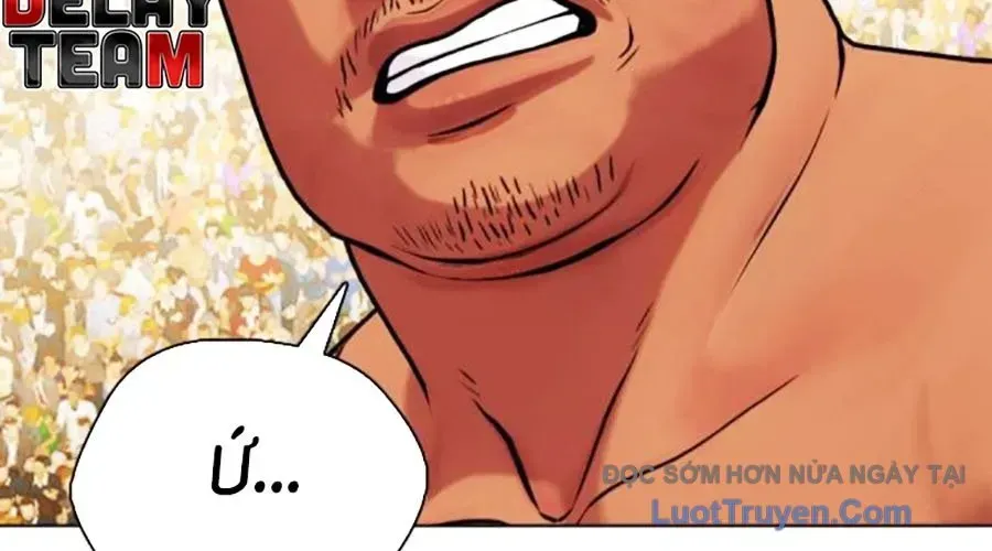 Loser Giỏi Võ Chapter 143 - 371