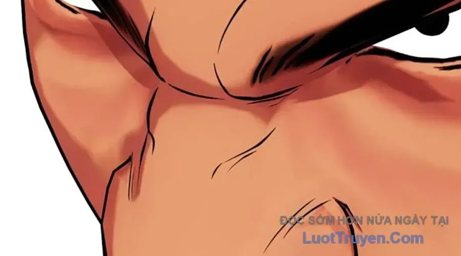 Loser Giỏi Võ Chapter 143 - 559