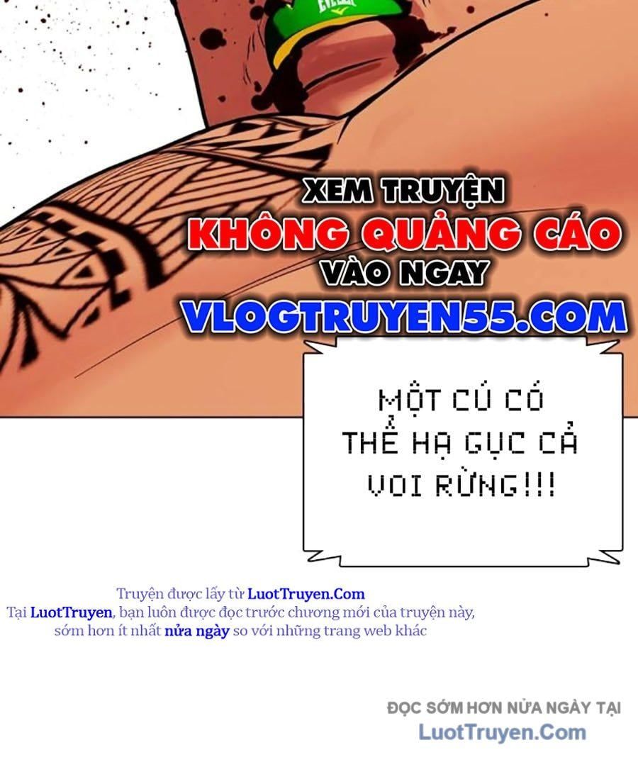 Loser Giỏi Võ Chapter 144 - 128