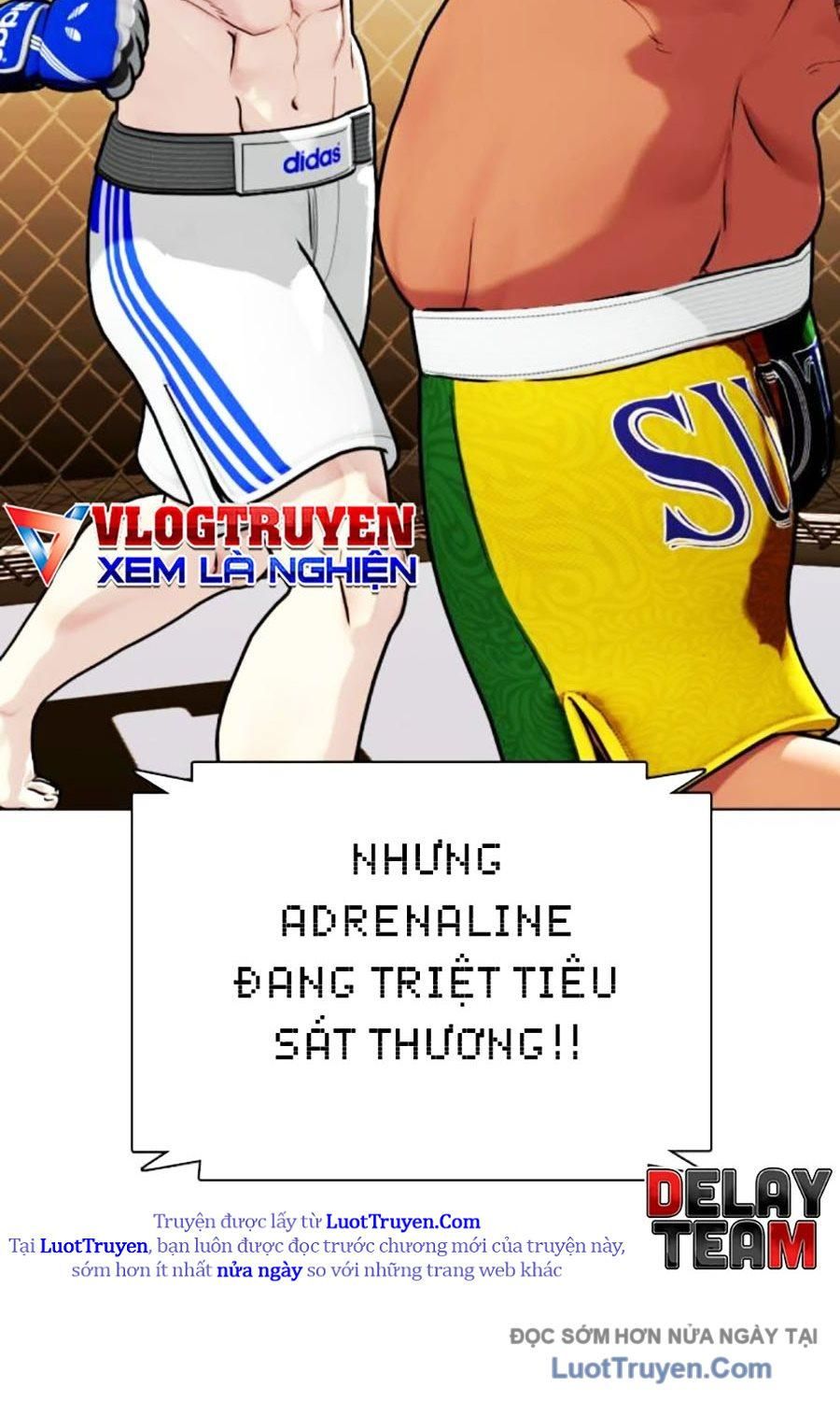 Loser Giỏi Võ Chapter 144 - 42