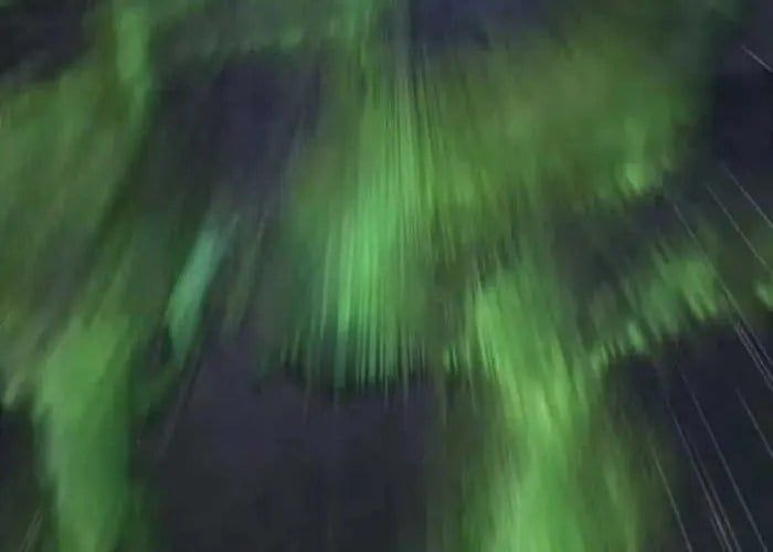 Tôi Đã Trở Thành Quái Vật Không Gian Chapter 70 - 114