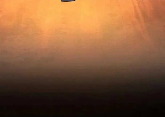 Tôi Đã Trở Thành Quái Vật Không Gian Chapter 70 - 42