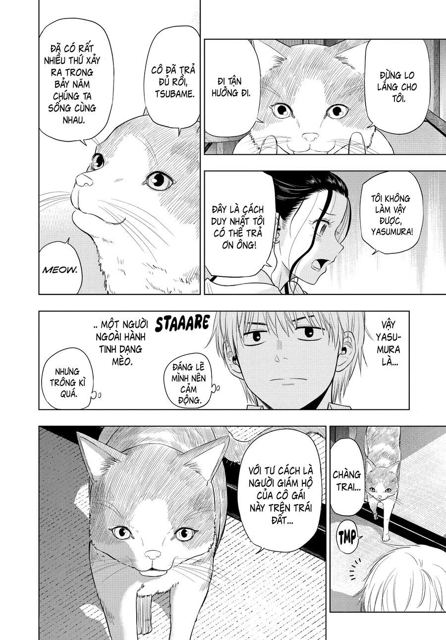 Cosmos Chapter 4 - 33