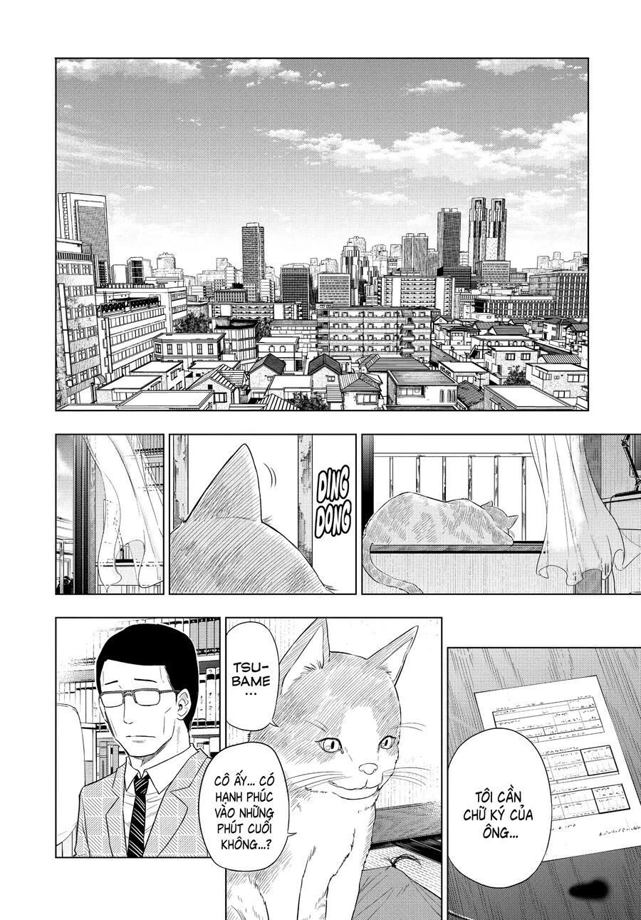 Cosmos Chapter 4 - 42