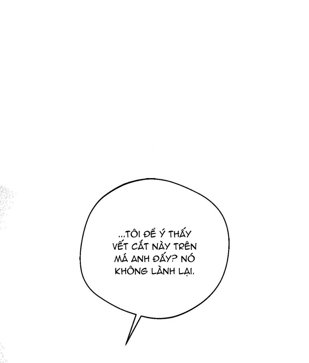 Gửi Lời Chúc Phúc Của Melt Tới Người Chapter 47 - 56