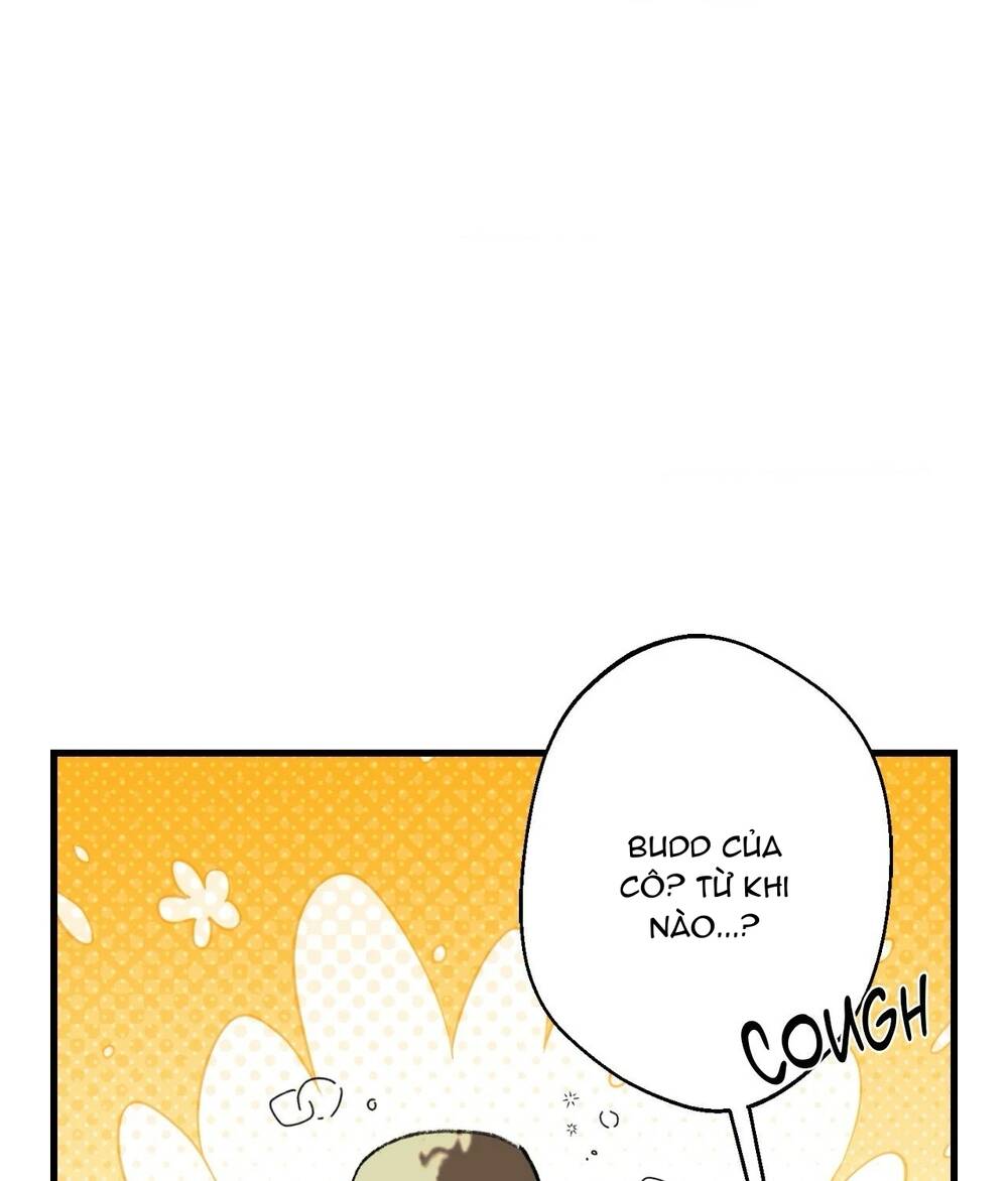 Gửi Lời Chúc Phúc Của Melt Tới Người Chapter 47 - 76