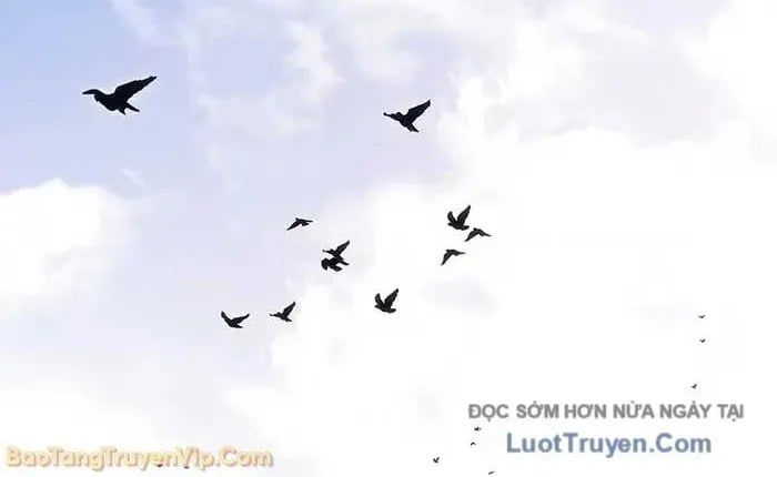 Chuyển Sinh Thành Con Ngoài Giá Thú Của Gia Đình Kiếm Thuật Danh Tiếng Chapter 66 - 98