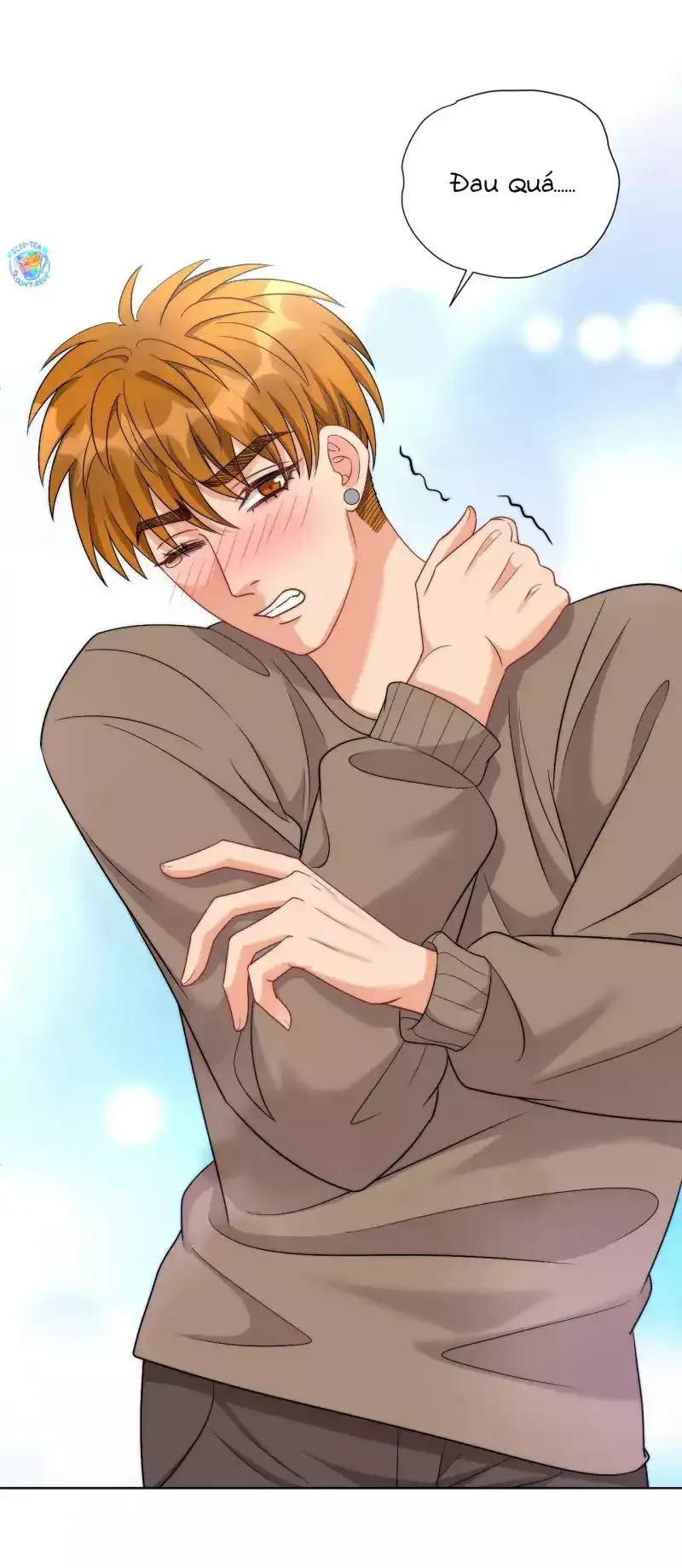 Ký Túc Xá Nam Phòng 303 Chapter 260 - 7