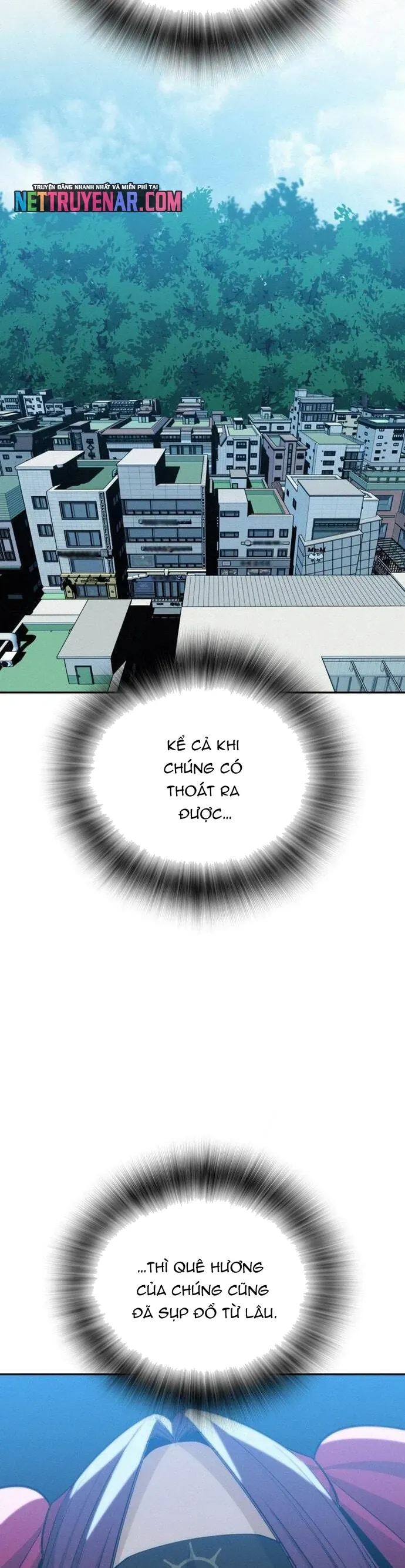 Hồi Quy Giả Chỉ Bảo Vệ Tôi Chapter 46 - 8