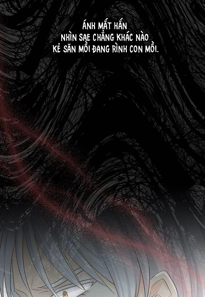 Cô Dâu Của Sói Trắng Chapter 78.1 - 88