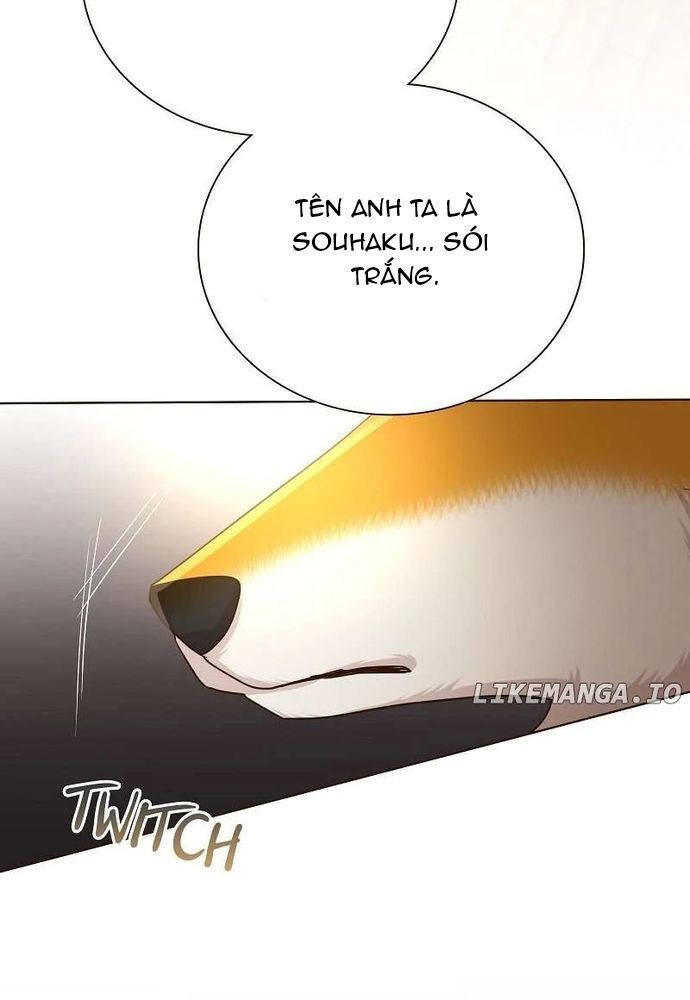 Cô Dâu Của Sói Trắng Chapter 79.1 - 110