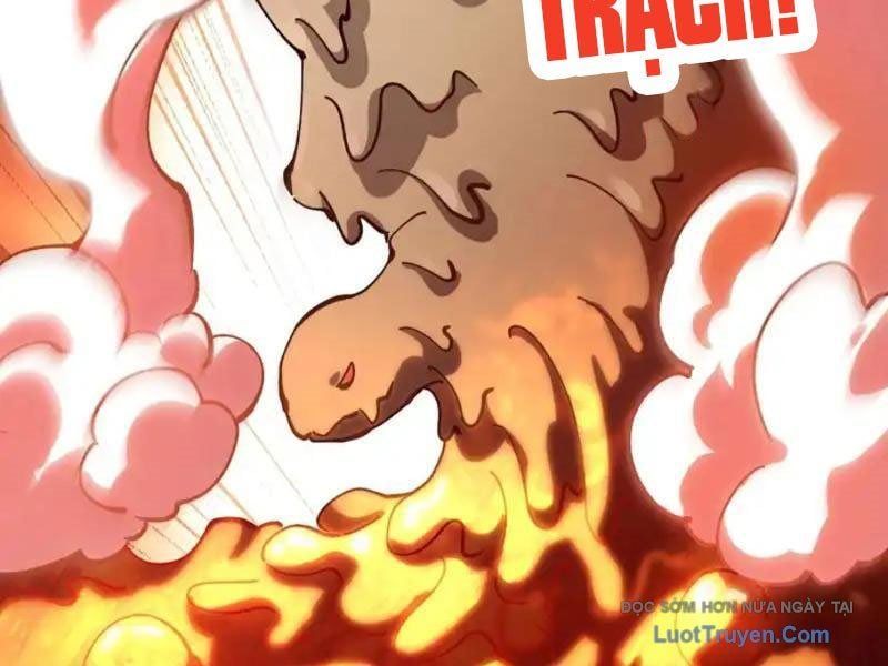 Toàn Cầu Ngự Thú: Ta có thế thấy lộ tuyến tiến hóa Chapter 45 - 44