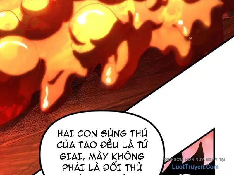 Toàn Cầu Ngự Thú: Ta có thế thấy lộ tuyến tiến hóa Chapter 45 - 45