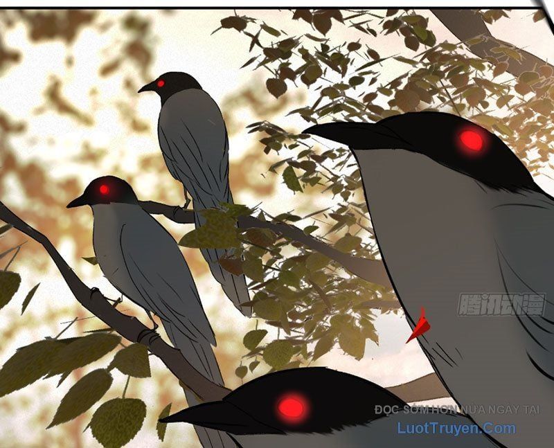 Ác Chi Hoàn Chapter 70 - 88