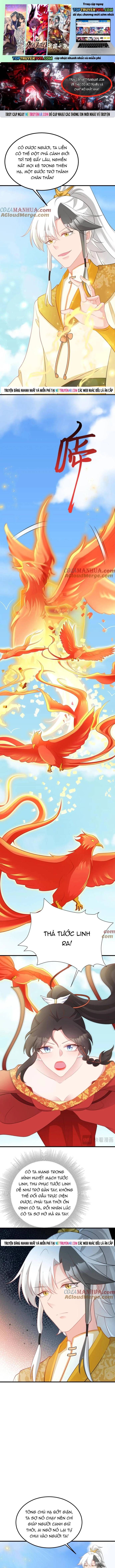 Hệ Thống Siêu Cấp Trà Xanh Chapter 50 - 2