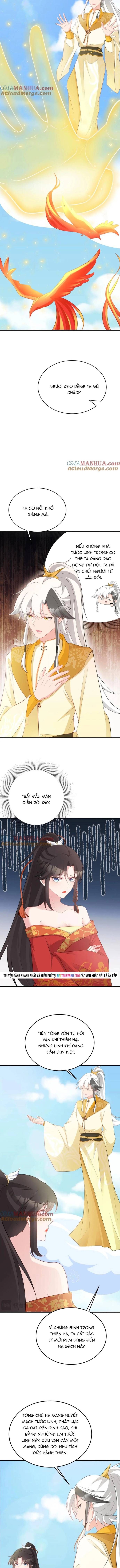 Hệ Thống Siêu Cấp Trà Xanh Chapter 50 - 3