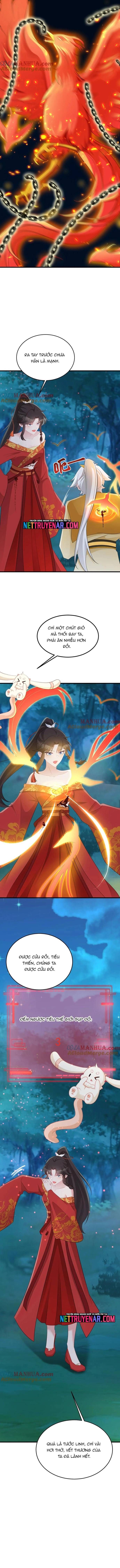 Hệ Thống Siêu Cấp Trà Xanh Chapter 51 - 6