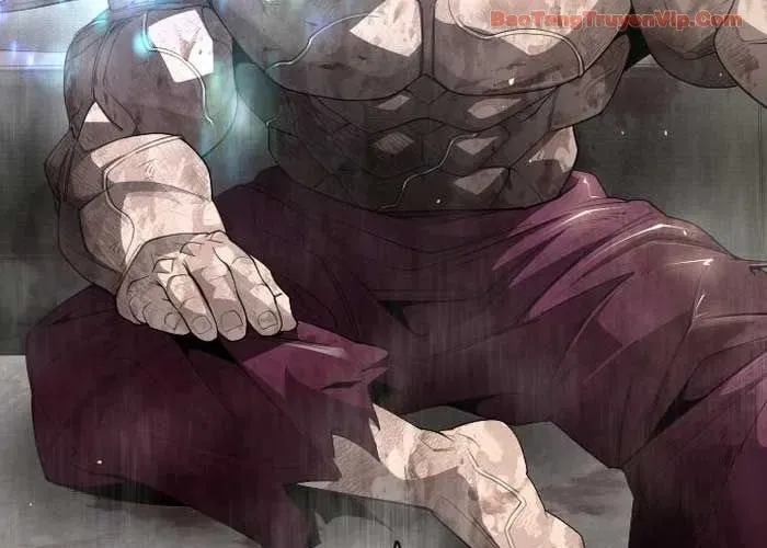 Kỷ Nguyên Siêu Anh Hùng Chapter 209 - 25