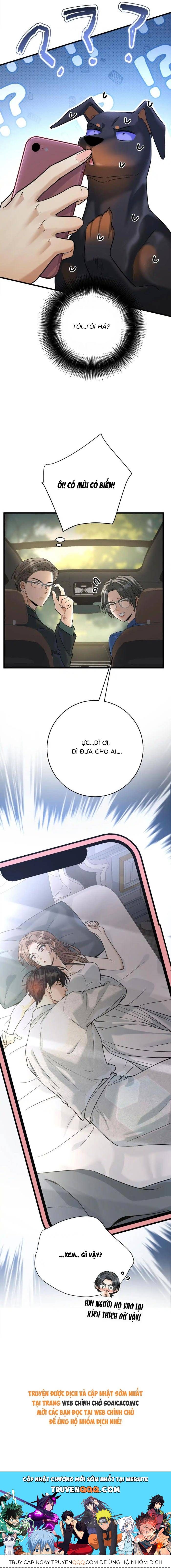 Tổng Tài Chó Chapter 49 - 12