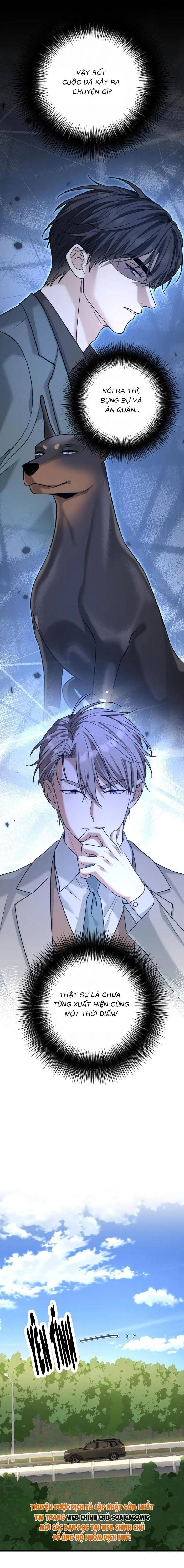 Tổng Tài Chó Chapter 49 - 10