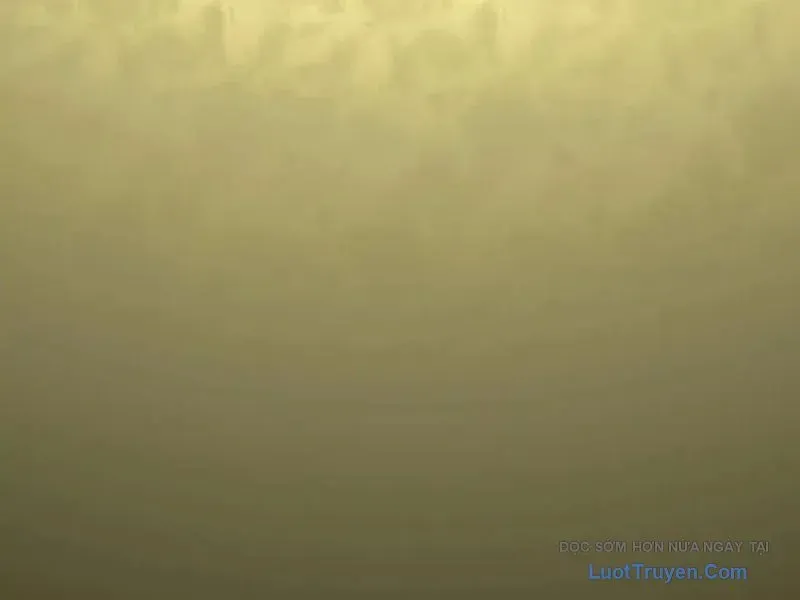 Cấm Chú Sư Mạnh Nhất Lịch Sử Chapter 33 - 56