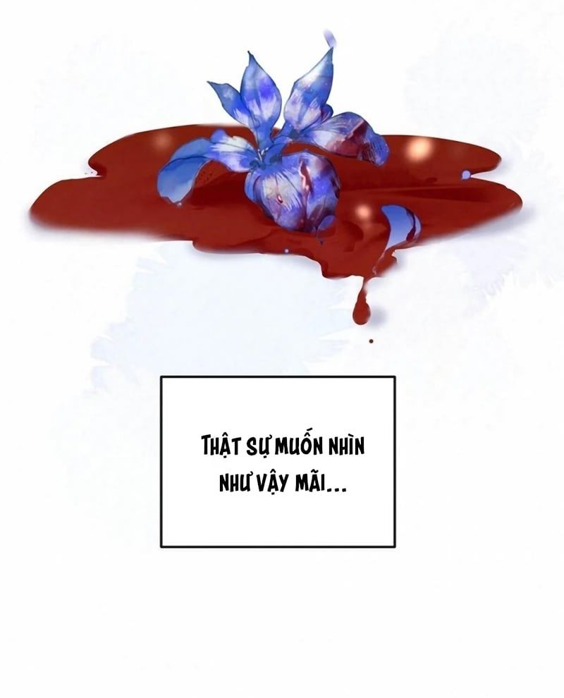 Hôm Nay Điện Hạ Bị Ám Sát Rồi À? Chapter 25 - 38