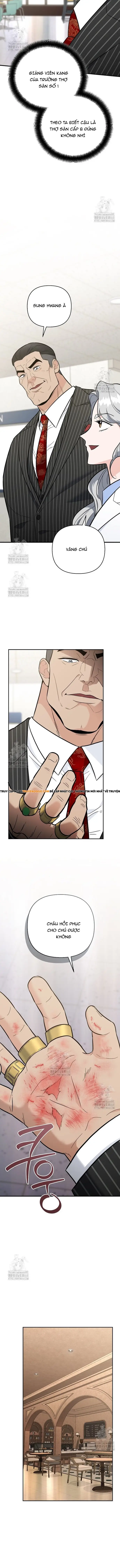 Kiếm Thánh Thiên Tài Của Học Viện Chapter 39 - 11