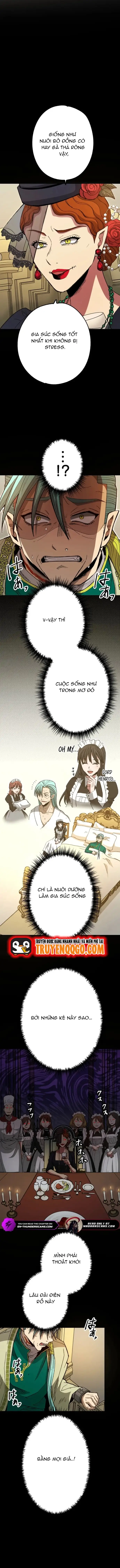 Thợ Săn Hồi Quy Giả Chapter 24 - 10