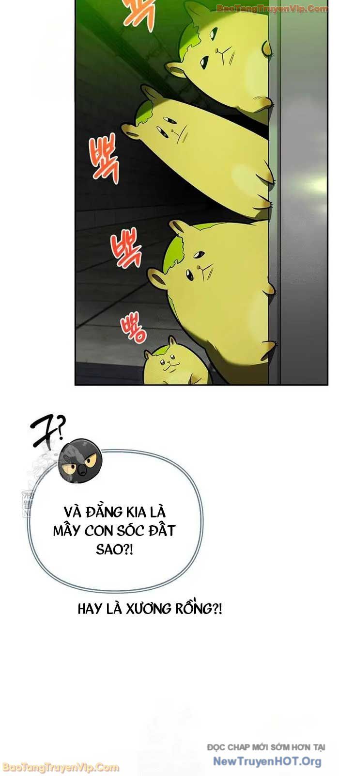 Healer Cấp S Chữa Trị Cho Quái Vật Chapter 21.1 - 51