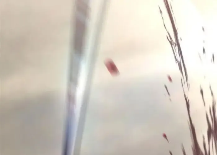 Tôi Hồi Sinh Vào Cuốn Truyện Tu Tiên Chapter 25 - 403