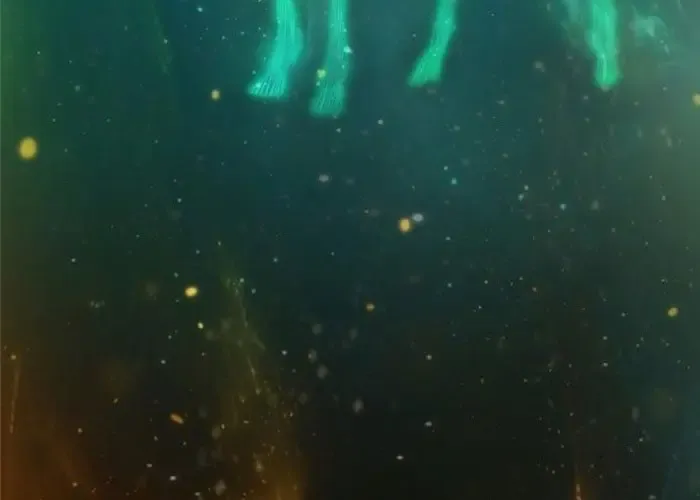 Tôi Hồi Sinh Vào Cuốn Truyện Tu Tiên Chapter 25 - 457