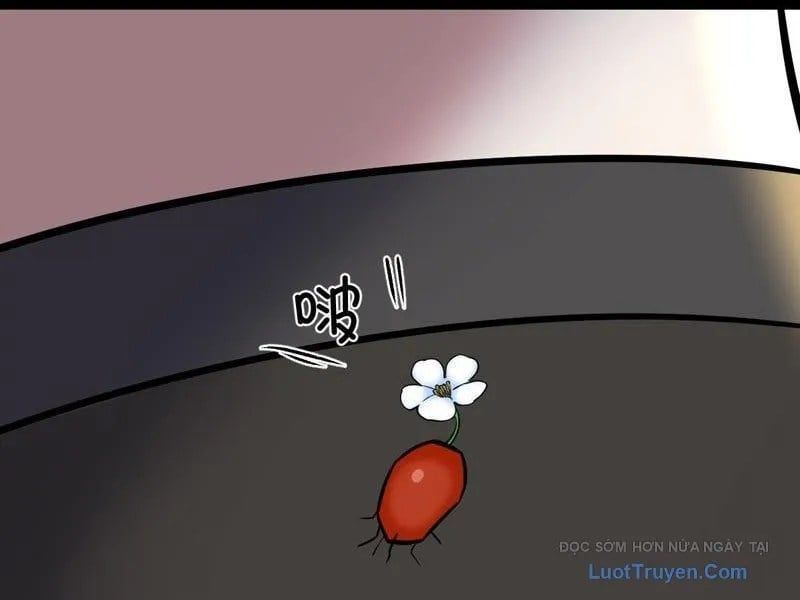 Sau Khi Đầu Thai, Ta Được Kẻ Thù Khắc Thành Vô Địch Chapter 31 - 31