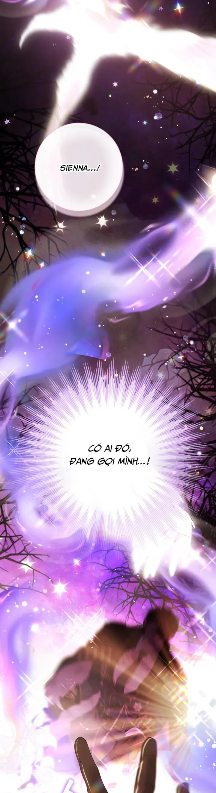 Một Thế Giới Không Có Chị Gái Mà Ai Cũng Yêu Chapter 94 - 9