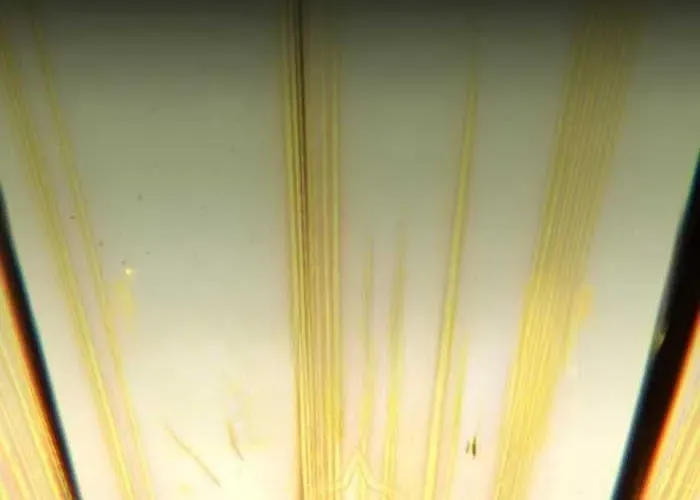 Đường Chuyền Đặc Biệt Của Tiền Vệ Thiên Tài Chapter 27 - 128