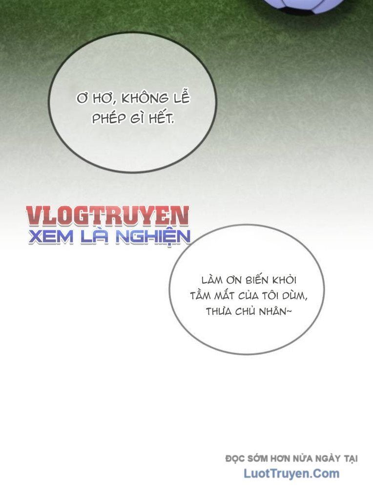 Đường Chuyền Đặc Biệt Của Tiền Vệ Thiên Tài Chapter 28 - 133