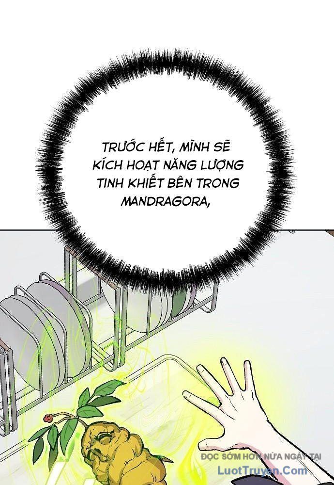 Chúa Quỷ Muốn Trở Thành Đầu Bếp Chapter 55 - 168