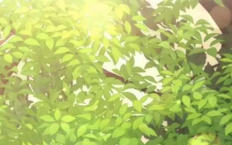 Thần Thịnh Vượng Chapter 12 - 3