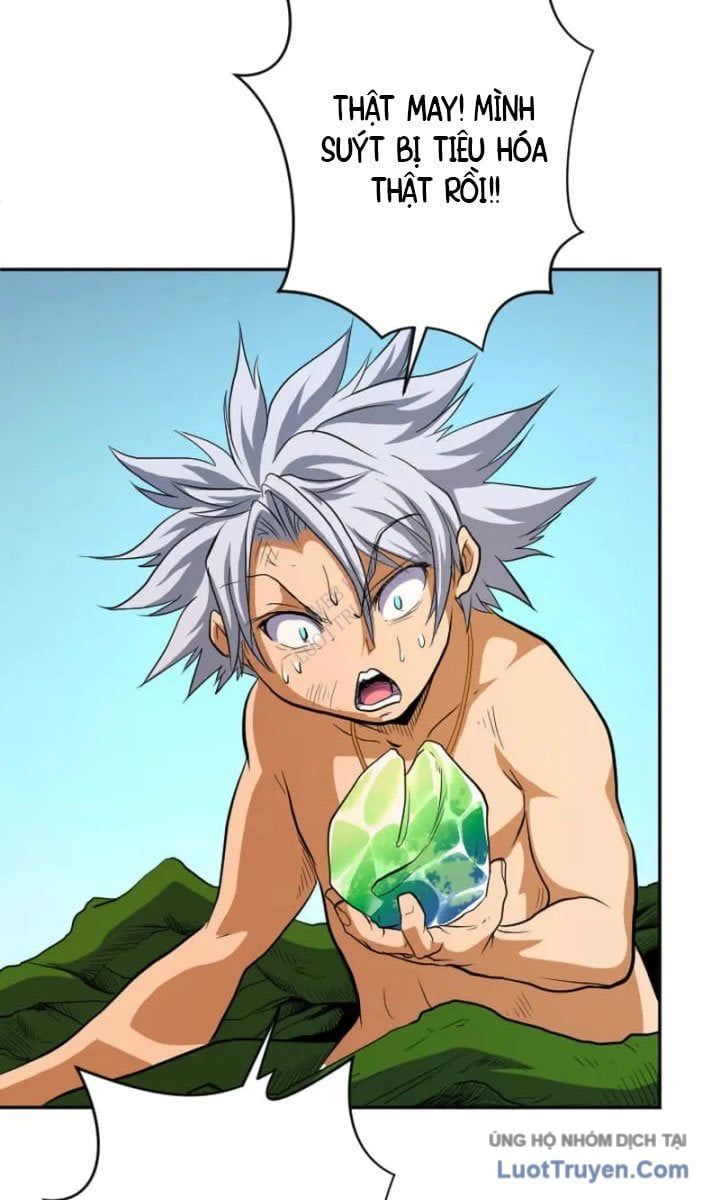 Đại Hiền Giả Sở Hữu Trăm Ma Thạch Chapter 8 - 113