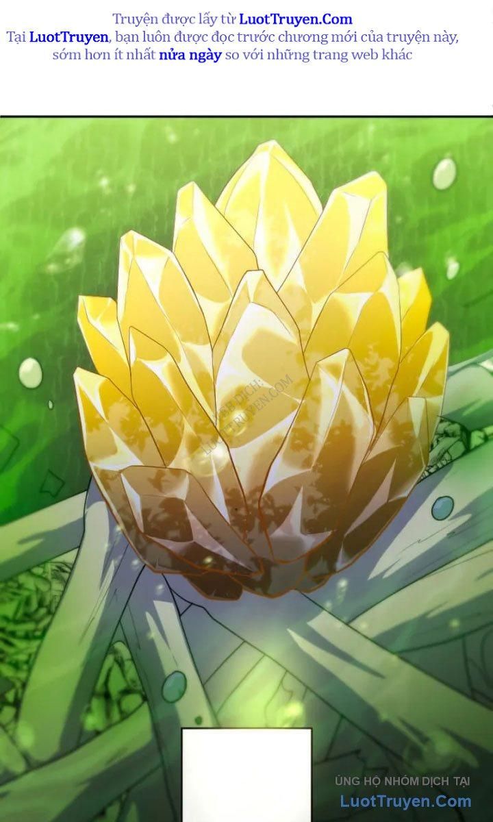 Đại Hiền Giả Sở Hữu Trăm Ma Thạch Chapter 8 - 18