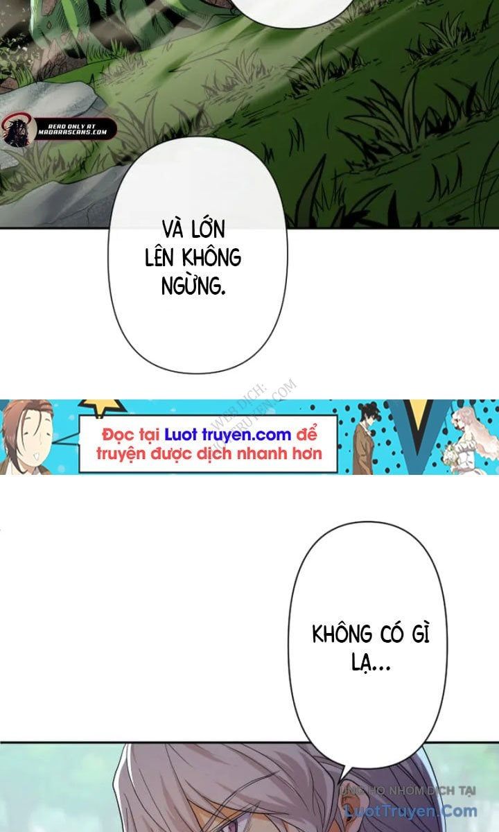 Đại Hiền Giả Sở Hữu Trăm Ma Thạch Chapter 8 - 3