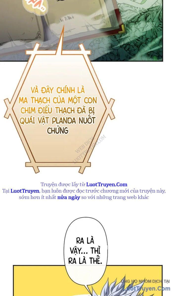 Đại Hiền Giả Sở Hữu Trăm Ma Thạch Chapter 8 - 32